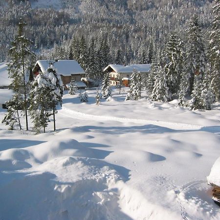 Anne'S Wohlfuehlplatzl Apartment Steinberg am Rofan ภายนอก รูปภาพ